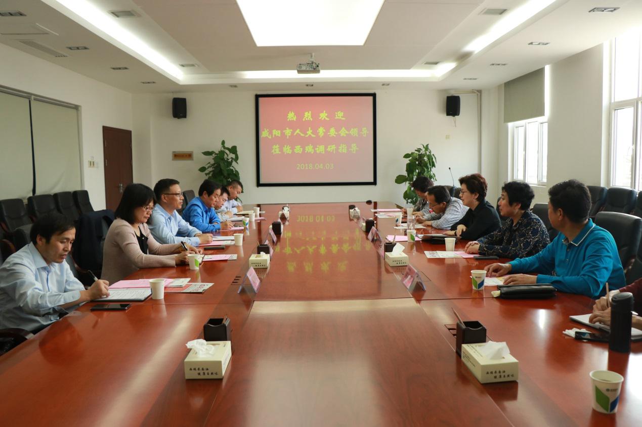 咸陽市人大黨組副書記、副主任肖芳到西瑞集團(tuán)考察調(diào)研