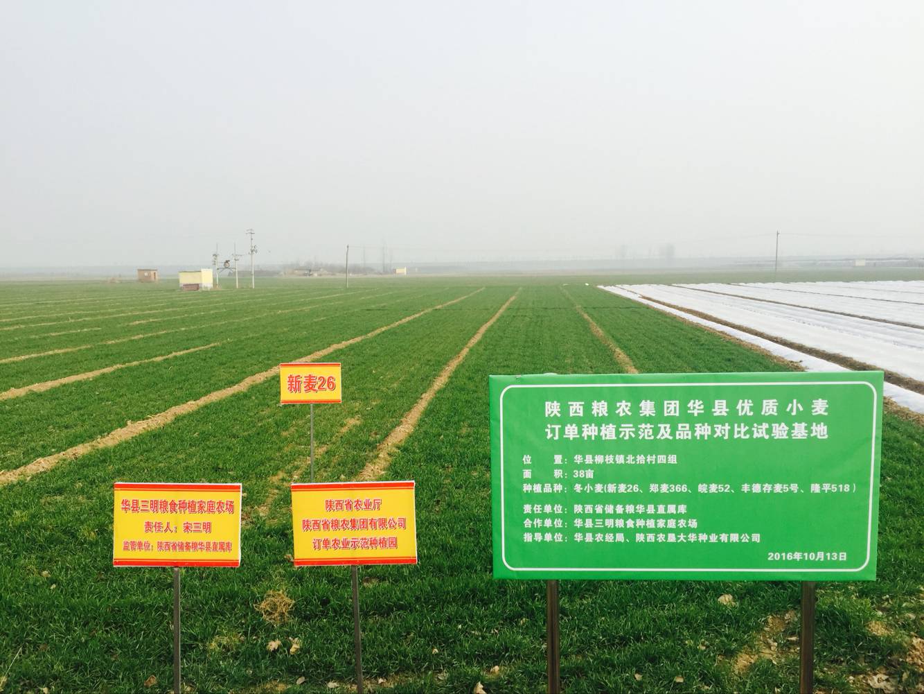 糧農集團訂單農業工作順利推進