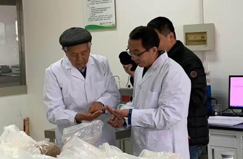西瑞集團：央視經濟半小時節目攝制組走進西瑞興平園區