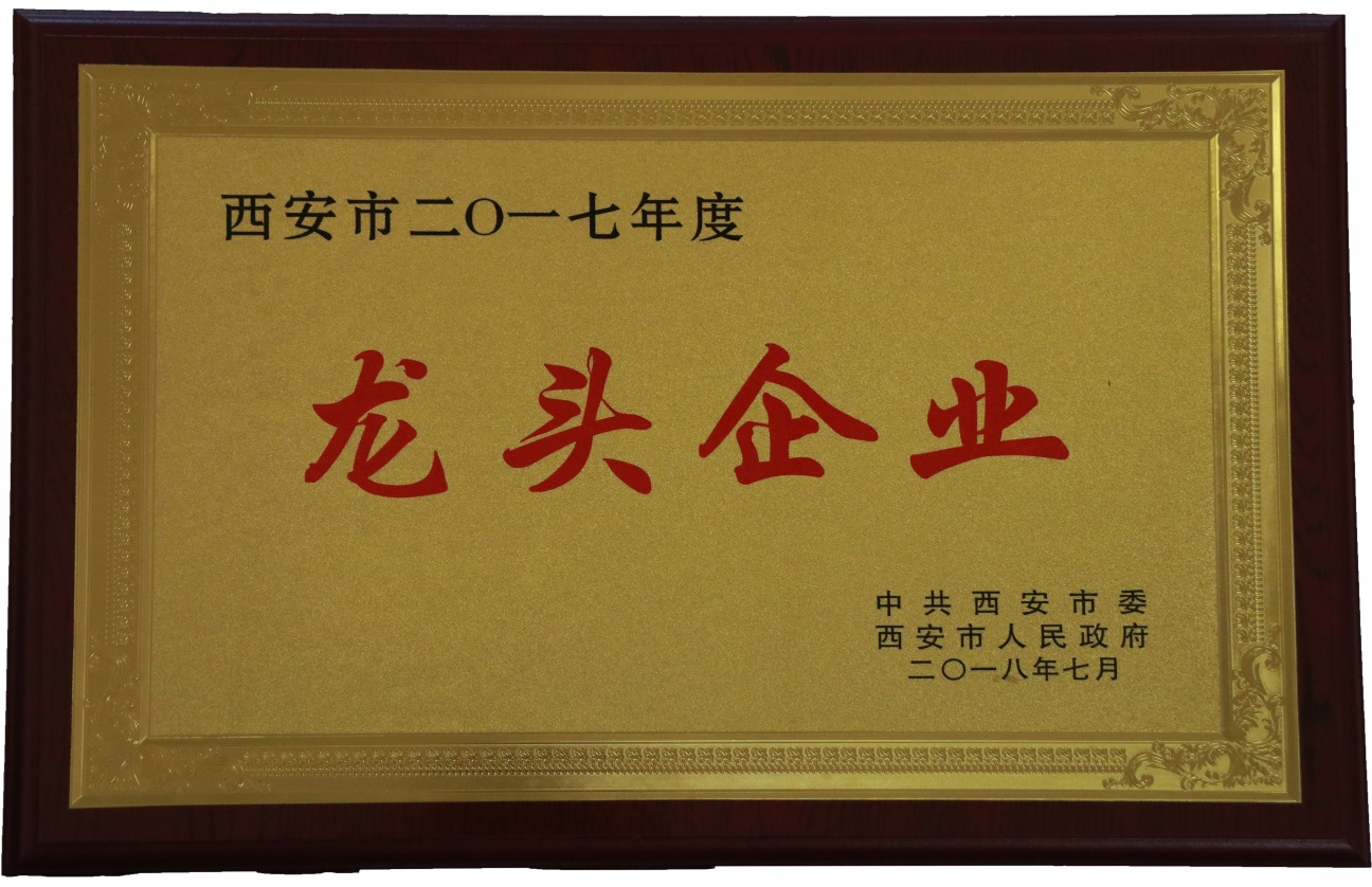 陜西西瑞集團榮獲西安市2017年度“龍頭企業”稱號