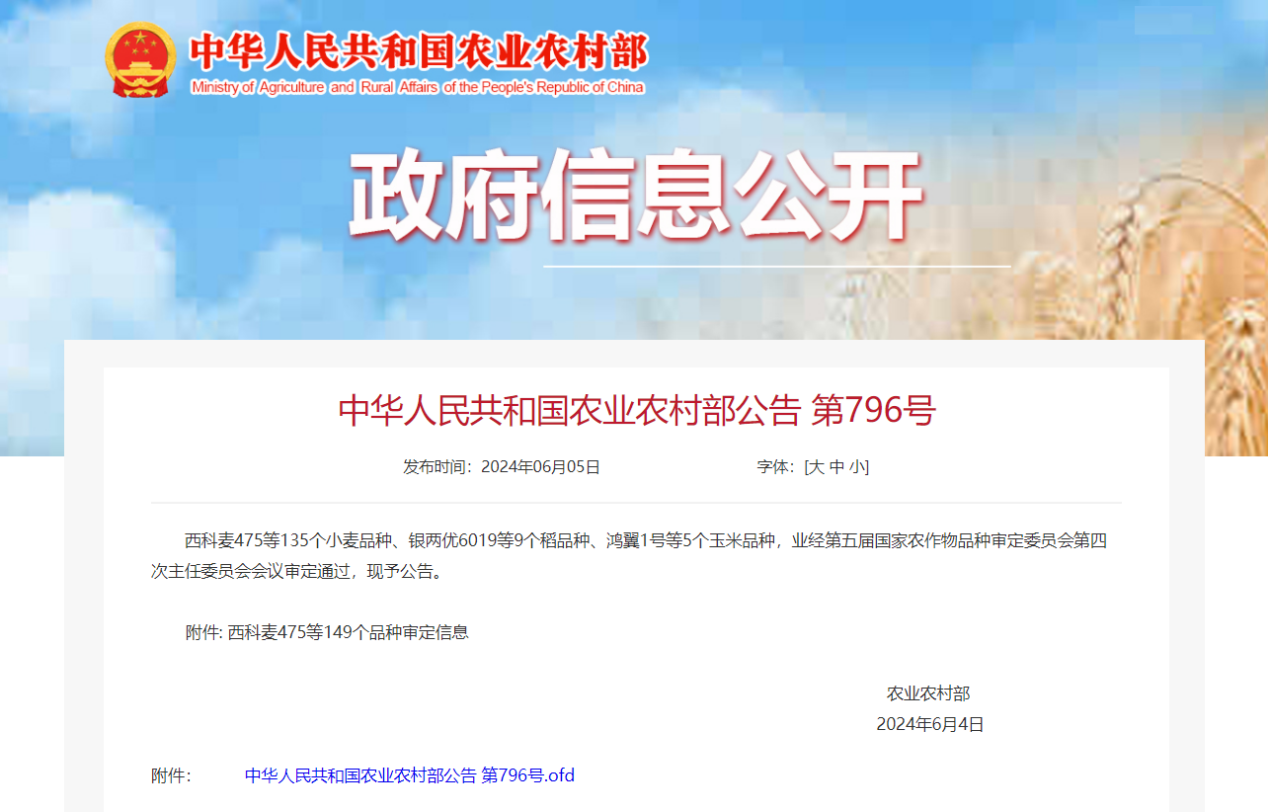 秦豐種業：優質小麥新品種“偉隆302”通過國家審定