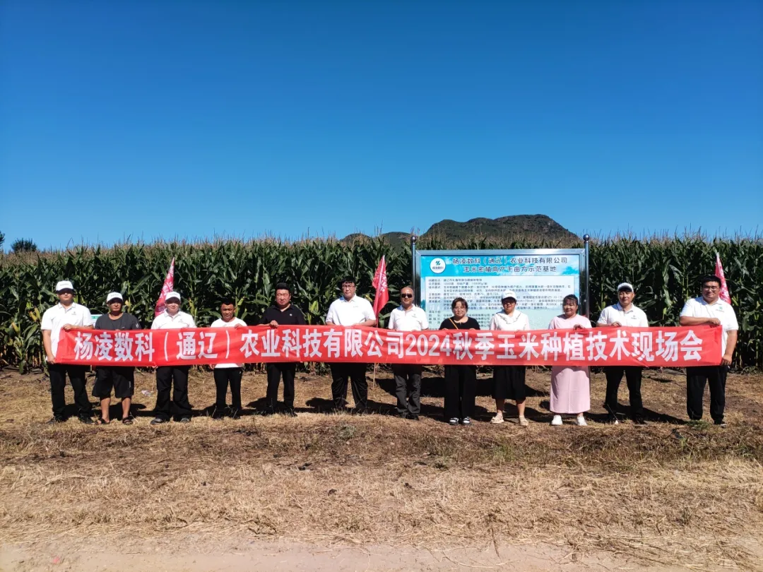 楊凌數科：舉辦“技術創新發展產量提升應用”玉米種植技術現場交流會